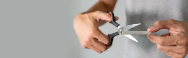 chi sostiene il progetto