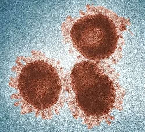 Fumo: parte del sistema immunitario risulta compromesso per anni